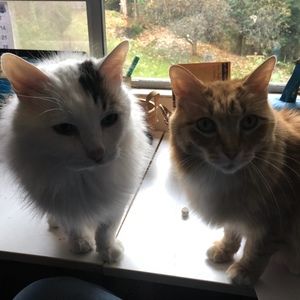 Meet your Posher, Alma